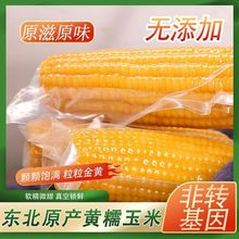 �SŴ���ז|���Ŵ��ճ���׵�֬���r����b����s�Z�Ćΰ��r��؛