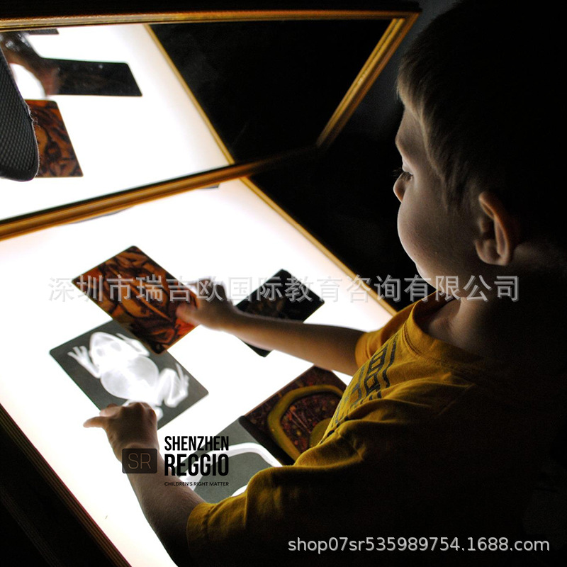 Reggio Light and Shadow X-ray Film Human Animal Theme Science Zone Light and Shadow Zone Materials Kindergarten Children Play Teaching Aids