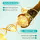 Full English Moroccan Hair Care Essential Oil Repair Strong Hair Hair Anti-frizz Soft Rosemary Source Factory