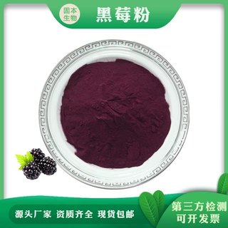 黑莓粉 水溶黑莓果粉 黑莓提取物 黑莓花青素 厂家现货包邮1KG起