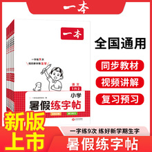 2024一本小学语文暑假练字帖打卡假期人教版生字预习复习每日一练