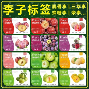 ���Ә˺��N����t�����������A���������������t���ֲ����z��ճ