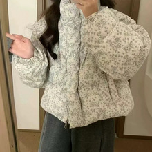 ���c ��q��Ů�¿� �����OӋ���nϵ���p�g�����������