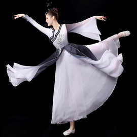 古典舞演出服女飘逸水墨汉服仙女中国风伞舞蹈服装表演服独舞套装