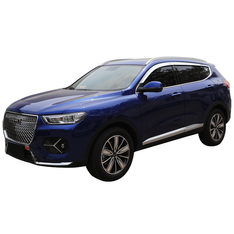 Tenxinrui se aplica a la Gran Muralla coche 20 Haver H6 platino versión deportiva coupé M6 modificado lluvia escudo lluvia ceja