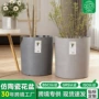 卧室客厅家居简约花盆