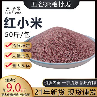 批發紅小米 廠家銷售五谷雜糧原料散裝 OEM代工貼牌
