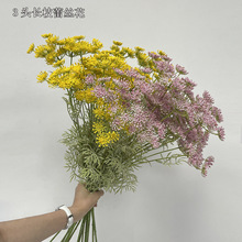 �������ϝM���� ��ɫ����С�黨�F؛���l�L֧��ʽ �廨�ٽz��