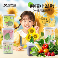 ��ͯ�Nֲ����С�����׃��@С�W���Ϲ��߲˻��ܲ���ֲ�����L�^���