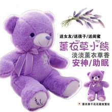 紫色薰衣草小熊 35厘米可印logo泰迪熊毛绒玩具可加二维码 一件