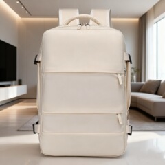 乾湿分離トラベルバックパック、男性と女性のコンピュータコンパートメントビジネスバッグバックパック、大容量、多用途、撥水スクールバッグ