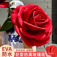 ���ͳ���õ�廨���滨�tɫ����eva��ĭ�󻨻�c�b����w��ص���
