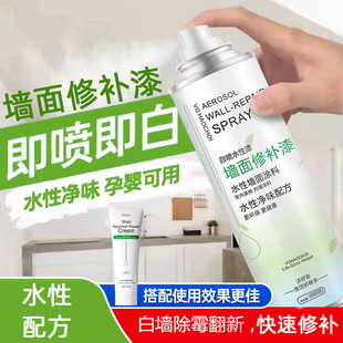 Aa Wall Self-Painting Repair Paint Water-Based Paint Repair Paste Wall Repair Paste Latex Paint Interior Wall Paint Wall Cleaner