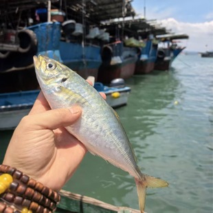 ���������~��Bֳ�����~�|ɽ�u�������v�~���B�����~���}�����~