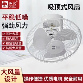 电热水壶;电饭煲/锅;电火锅