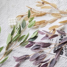 ��С������~��c�Gֲ�~��ɭϵ�Ӽ�ܛ�b���h��G�~���l����