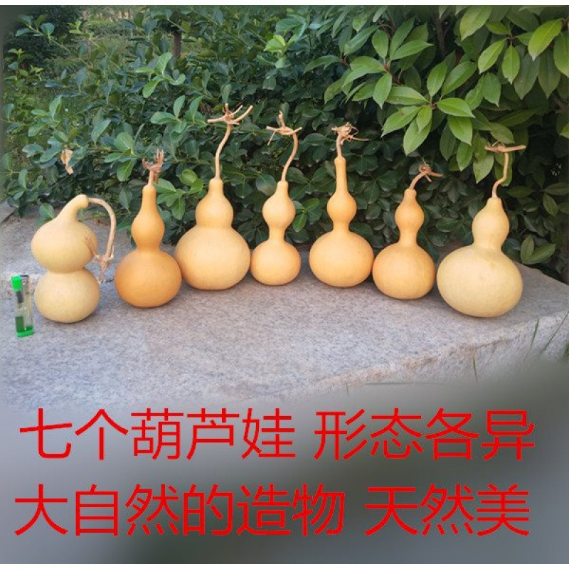 天然葫芦挂件家居饰品特大葫芦摆件带龙头店铺室内悬挂文玩小葫芦|undefined