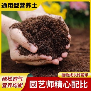 ͨ�����ЙC�I�B�������B���N�˷Nֲ���Gֲ������̿����ֲ�ﻨ��