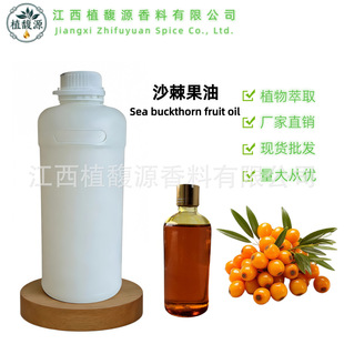 ɳ������ ɳ����HIPPOPHAE RHAMNOIDES������ ������ԭ��ɳ������