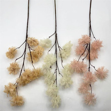 đҾb͹Żˇٻ\c쾰ٻзצ