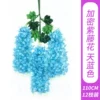 Encrypted Wisteria Flower - Sky Blue
