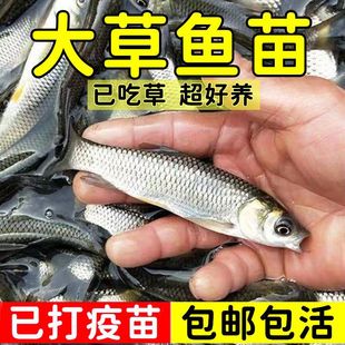 ���~�~��һ���ش�Ҏ����~�絭ˮ�Bֳʳ��С���~���~�����~�����l