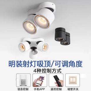 Mijia Universal Foldableing Spotlight Double-Head Surface-Mounted C0B Adjustable Angle Living Room Commercial Store Aisle Smart Ceiling