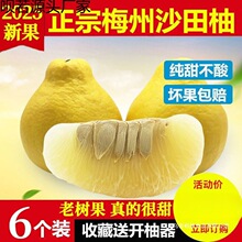 ÷��ɳ�������r����ˮ��÷�h���������l������С�ݿh����Դ�^��؛