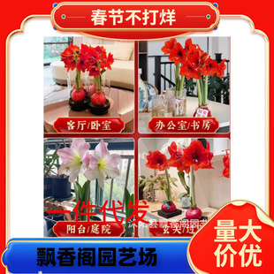 ������피t�������ٿ�����ƤƤ̨�������c�Y���������Ͻ��ϼy�p�G