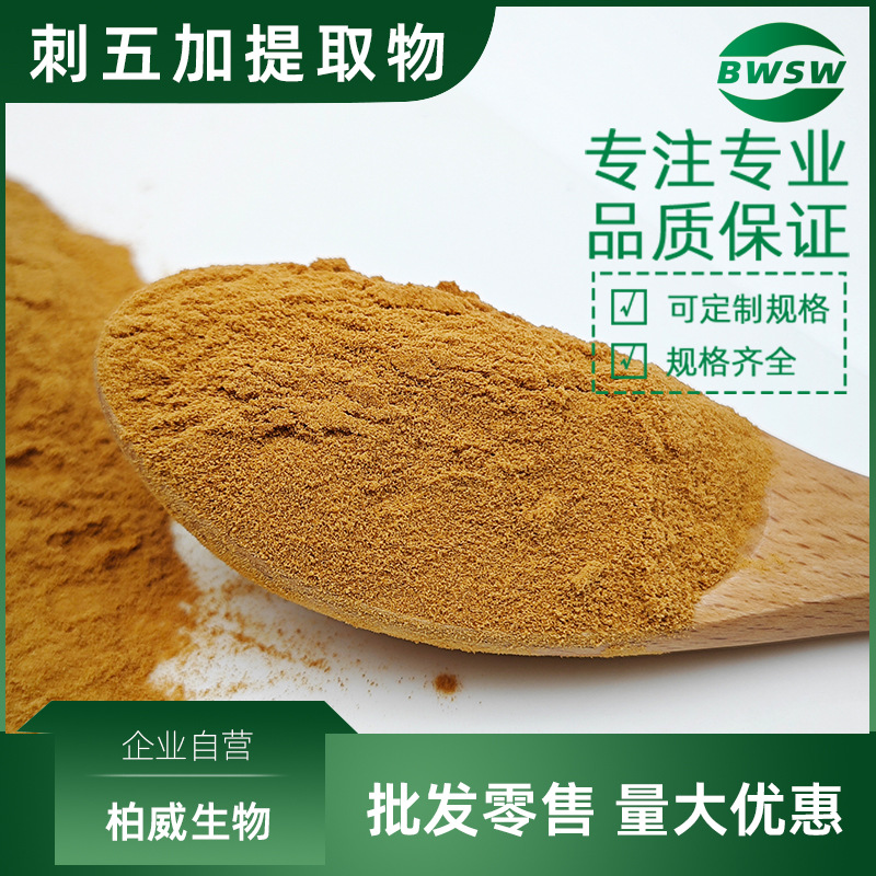 刺五加甙 B+E 1% 刺五加提取物刺五加多糖刺五加粉提取物工厂批发