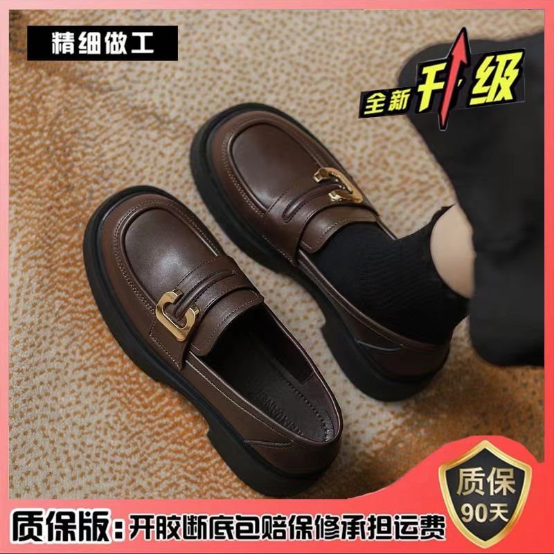 브라운 [업그레이드 버전]