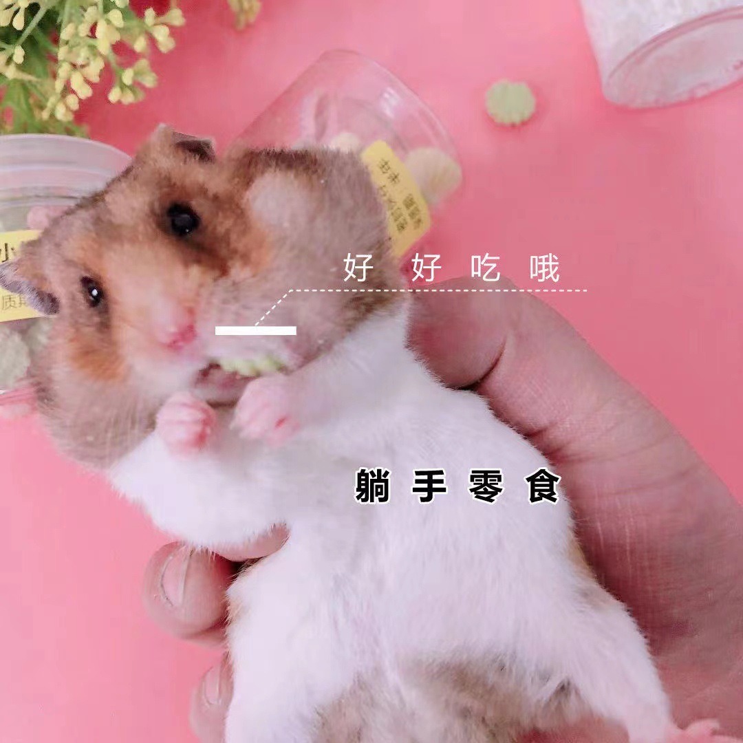 ce955cf59c751d979169bd6bed27cb