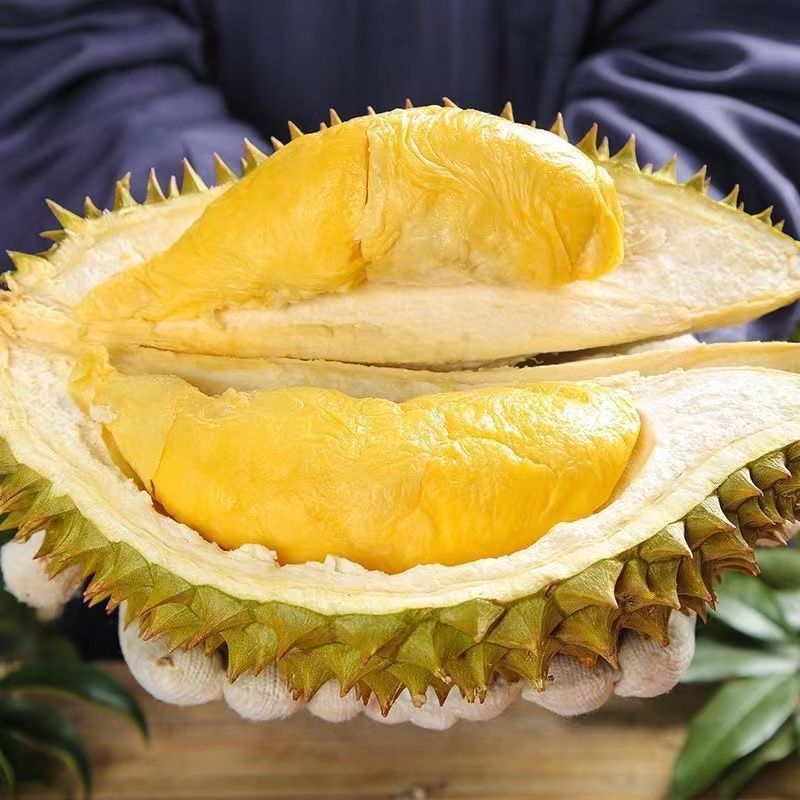 1.0-1.5kg (1개입) [모델명] ~ Max 버전 독점 판매