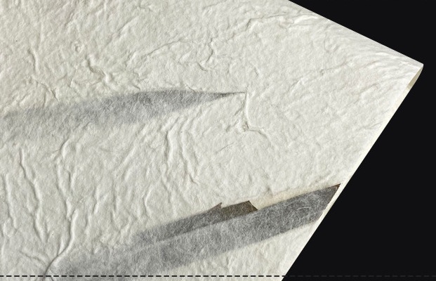 자체 생산 순수대나무잎 90*60cm