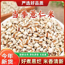 ������؛޲����޲�����F��޲�׿ɴ���ඹ�t������s�Z�ּZ������