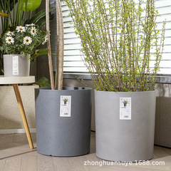 Insシンプルな模造陶磁器プラスチック植木鉢のサンプルプレートの間に家庭のリビングルームの寝室の柔らかい緑の植木鉢を飾る