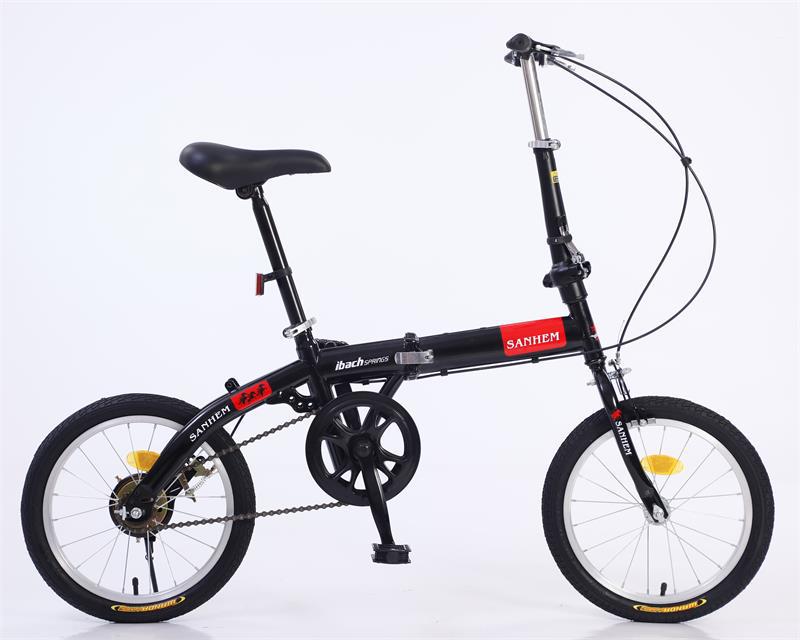 _54A4195_看图王(1)