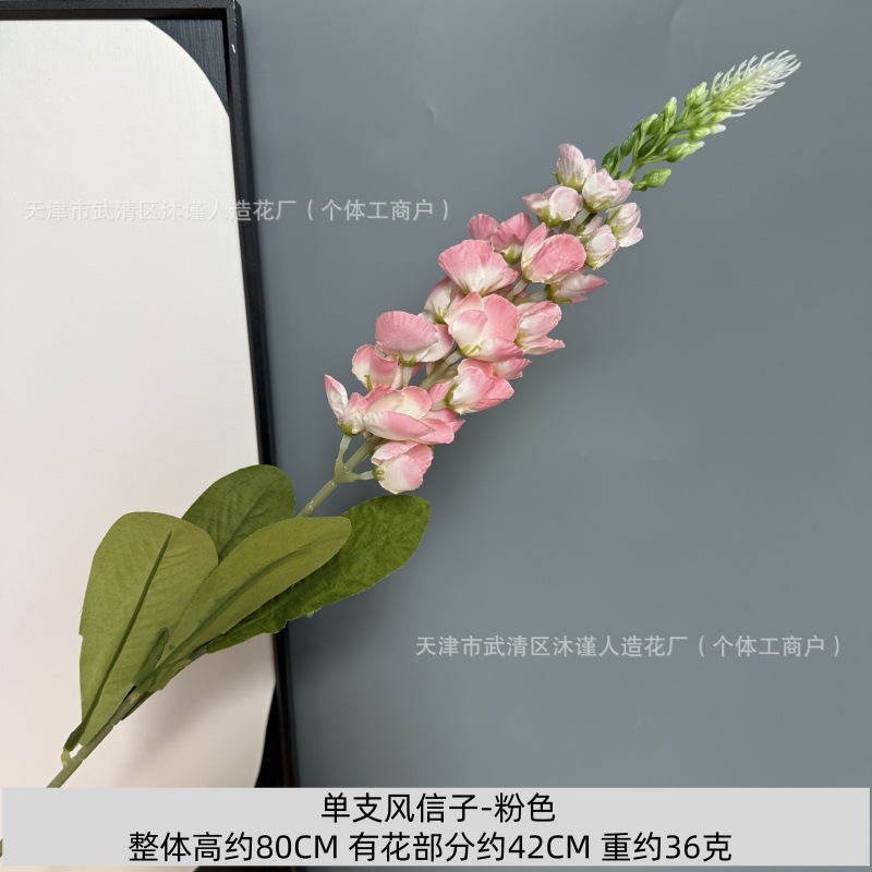 단일 히아신스