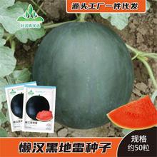 懒汉黑地雷西瓜种子圆形黑皮红心西瓜种籽红瓤超甜春夏季水果种子