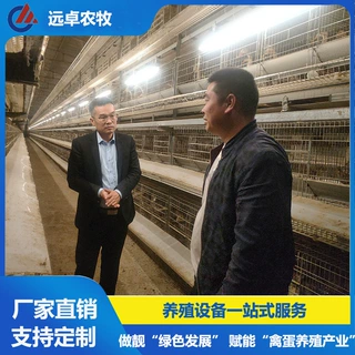 大层叠蛋鸭笼养鸭设备  贵州黔东南五层叠H型框架式自动化蛋鸭笼
