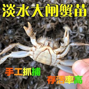 ���K�з�絭ˮ�Bֳ���lз���r��ëз�����A�q��з���з��1���]