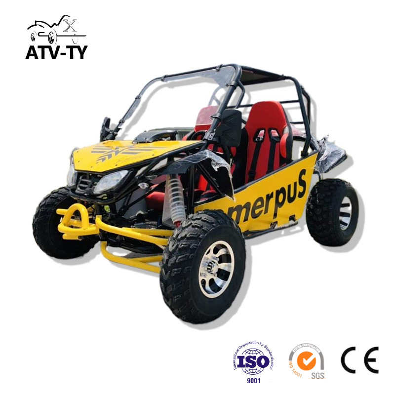 200CC Sport Edition Kart Four-wheel Off-road Beach Bike Mountain Off-road Large Adult Two-seater Field Car