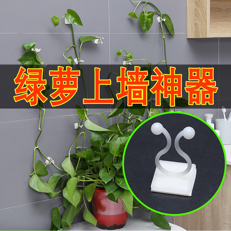 绿萝爬墙花神器绿植固定器绿箩家用无痕绿枝爬藤杆夹子室内