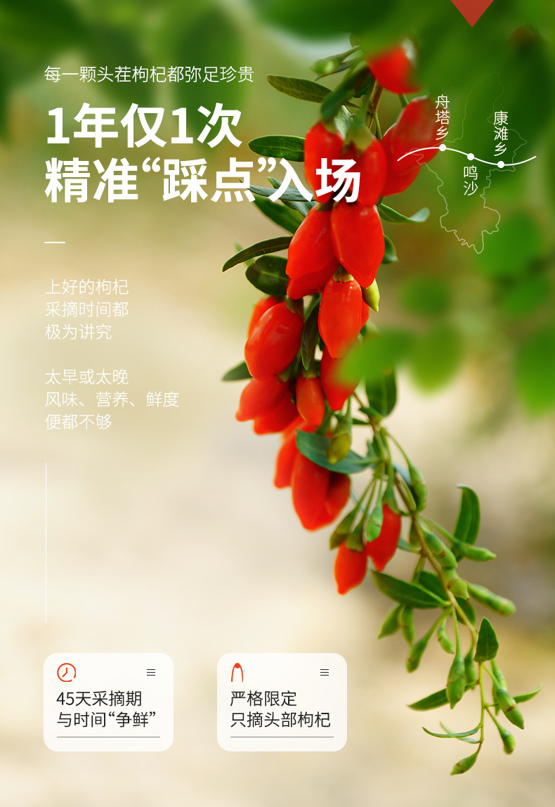 Premium Ningxia Goji Berries 260g Bag First Harvest Large Grade Gou Qi Zi Ready to Eat quality and texture