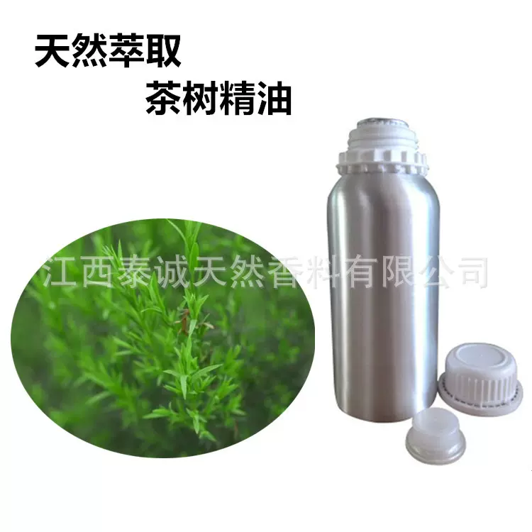 互生叶白千层精油  澳洲茶树枝叶水蒸馏萃取所得茶树精油