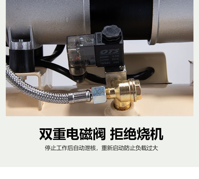 Atus Air Pump Air Compressor Oil-Free Silent Auto Repair Air Compressor 220V Small Woodworking Spray Paint Air Pump