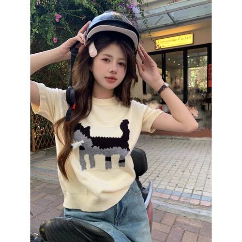 Spring and summer new style gray jacquard T-shirt for women's design loose round neck elastic sweater with short-sleeved top ins