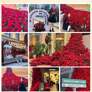 õ���ٲ����滨�W�t�򿨻�ˇ�����ٲ�õ�廨��С�t��ͬ���ٲ�����