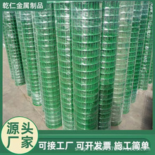 现货绿色包塑荷兰网 养殖网 果园围栏网 场地护栏网 鸡鸭养殖网果