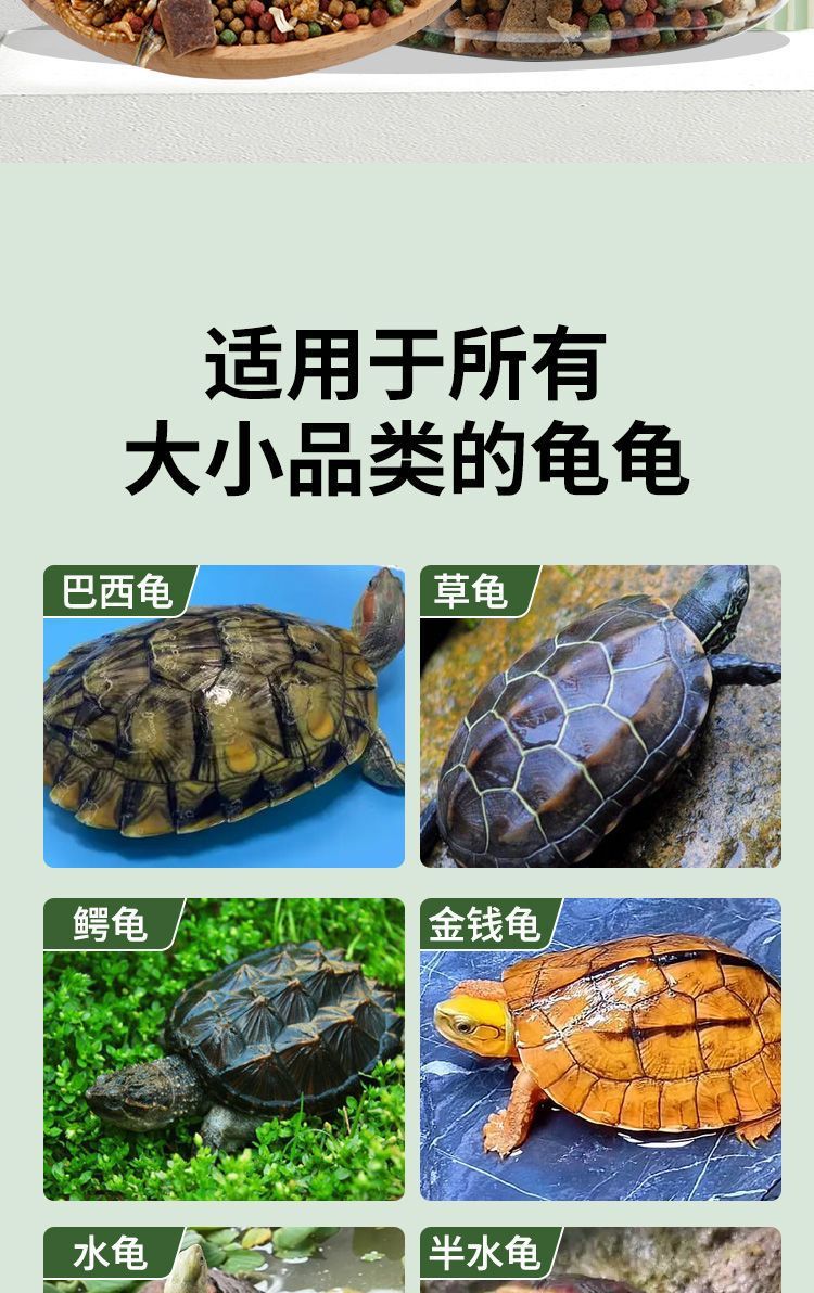 6c49569e-218a-49b5-9e65-8869deaa661b.jpe